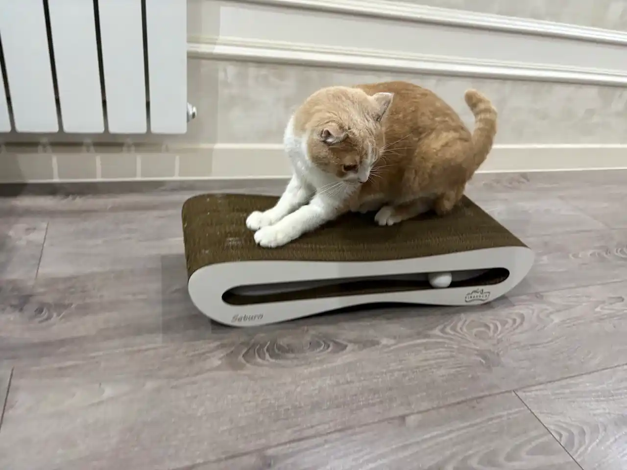 Tirnash ustuni KinderCat Saturn + koptok mushuklar uchun