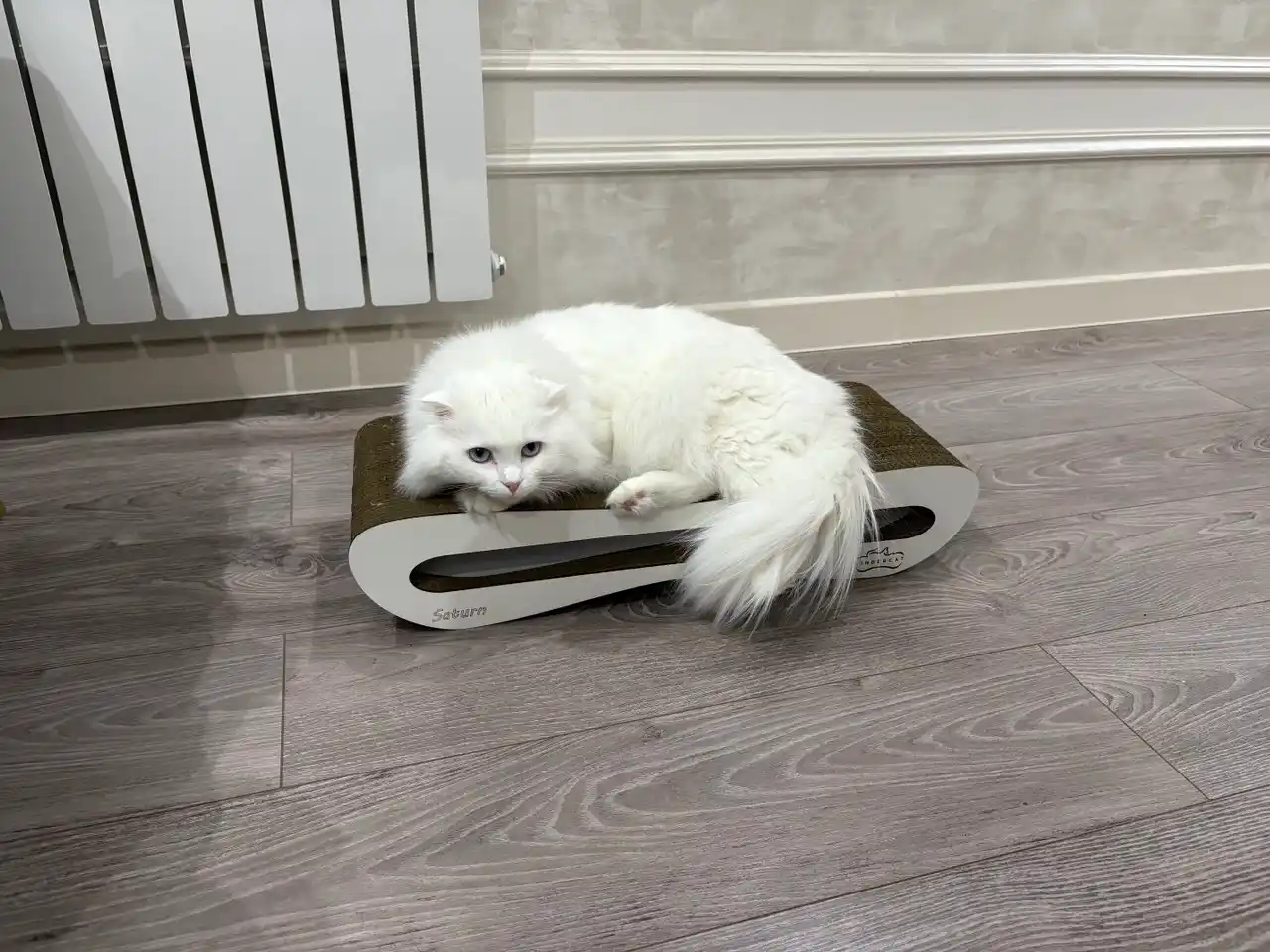 Tirnash ustuni KinderCat Saturn + koptok mushuklar uchun