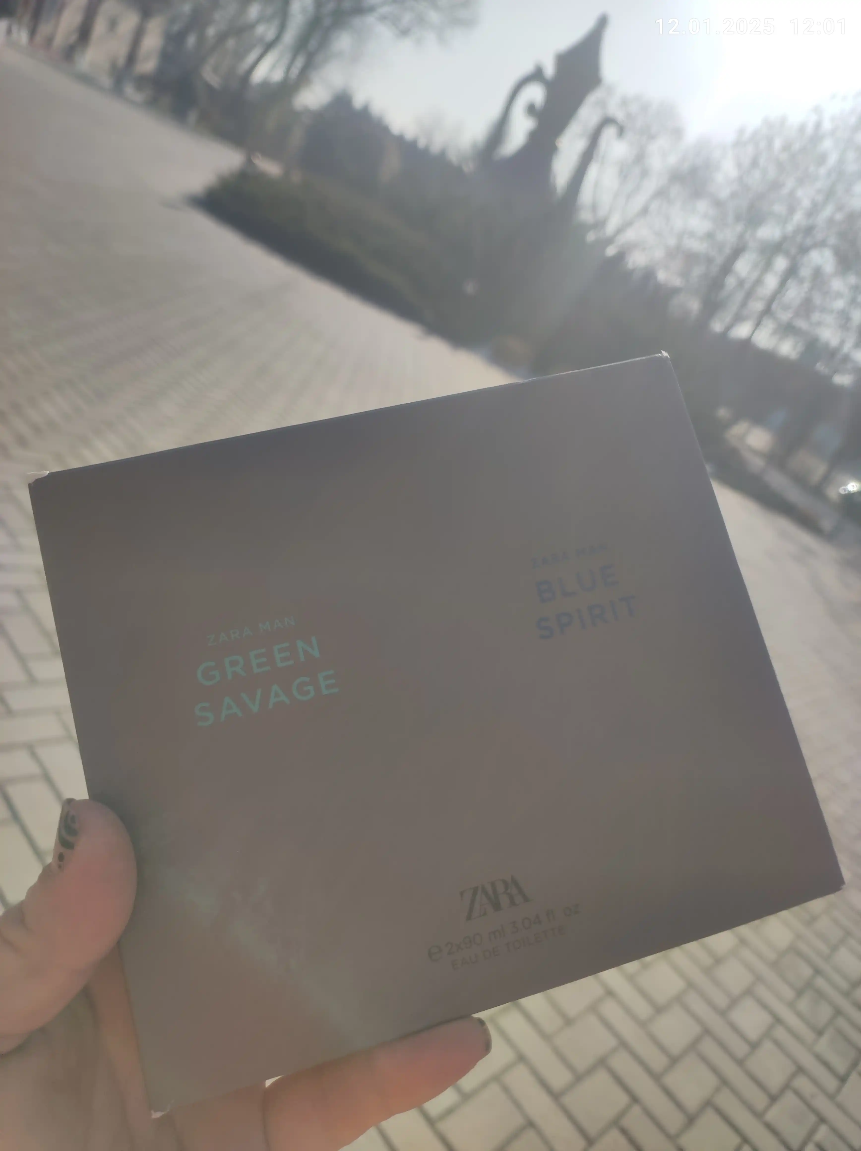 Туалетная вода для мужчин ZARA Green Savage 100 мл + Blue Spirit, 100 мл