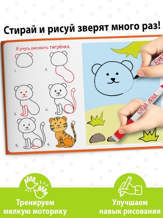 Многоразовая пропись Пиши-стирай, 12 страниц, с маркером