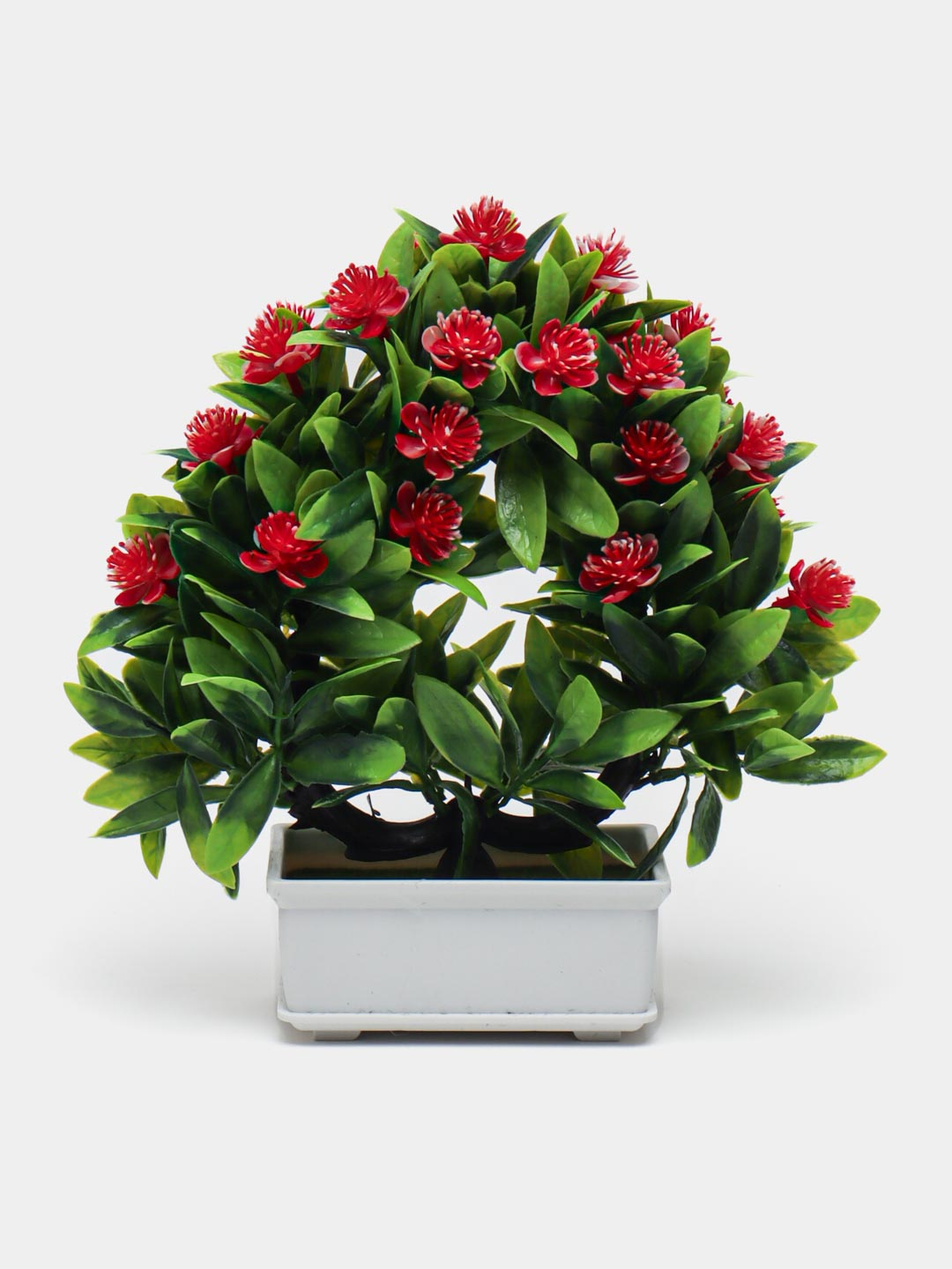 Tambovda jinsiy aloqa