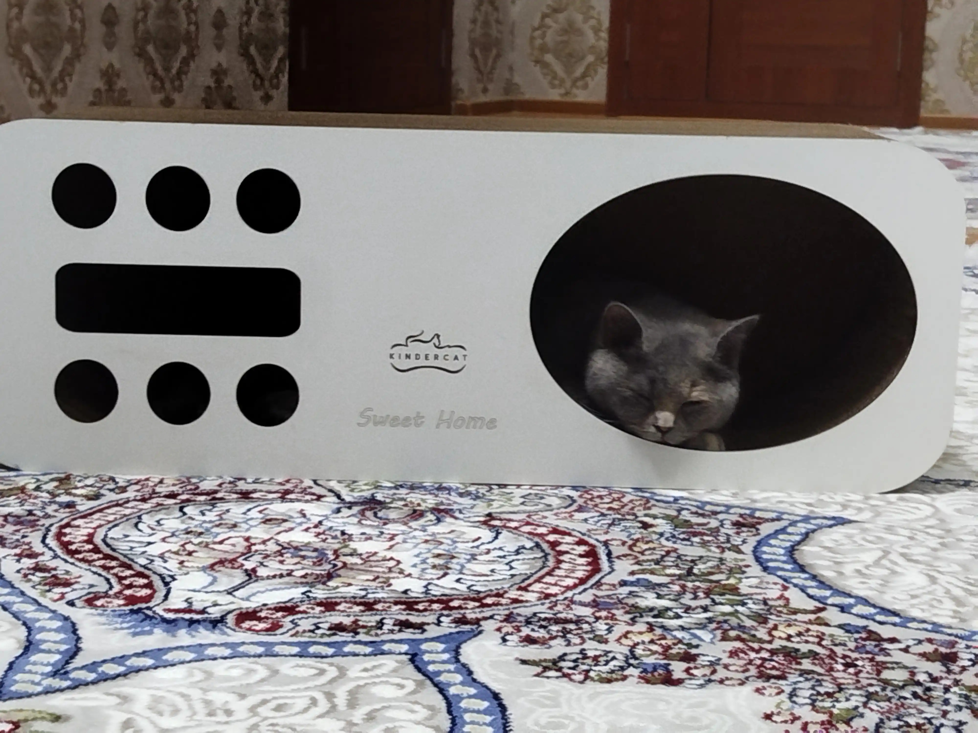 Mushuklar va mushukchalar uchun 3x1 karton tirnoqcha, Home KinderCat