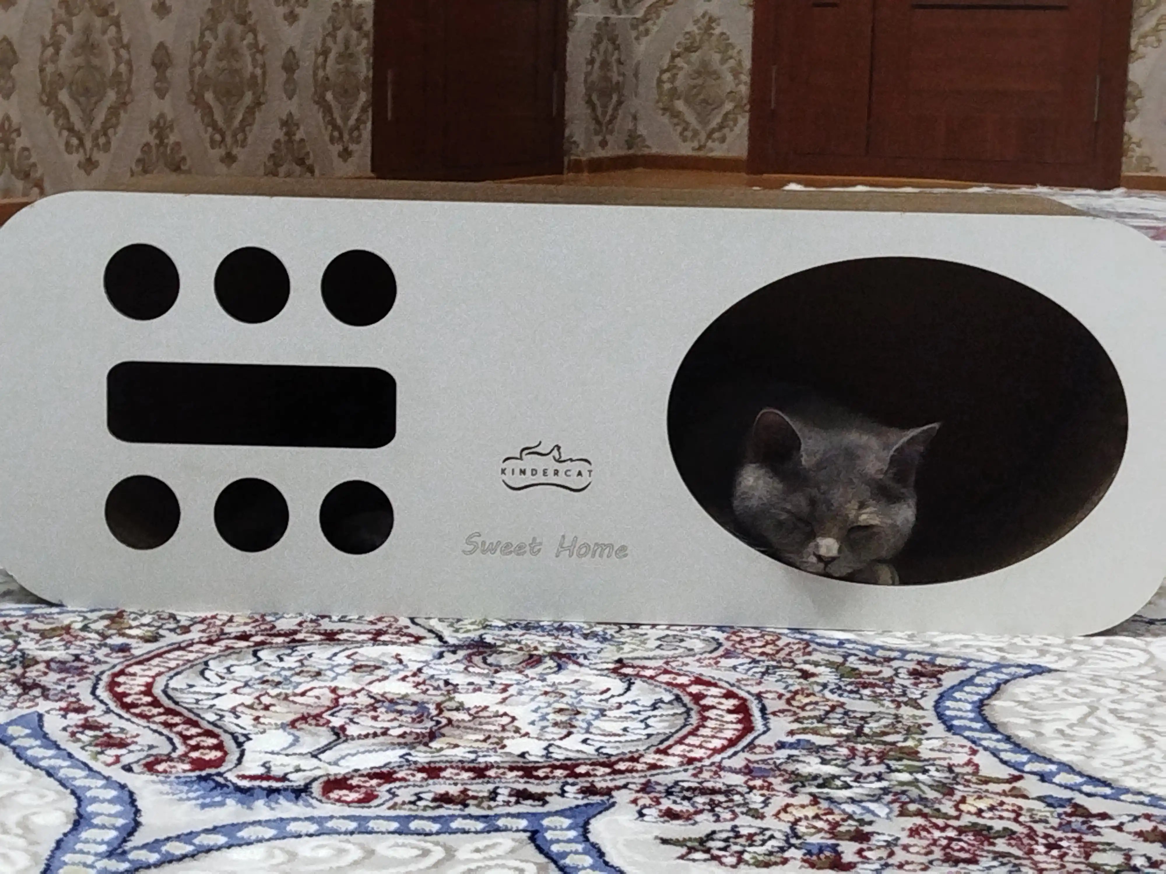 Mushuklar va mushukchalar uchun 3x1 karton tirnoqcha, Home KinderCat