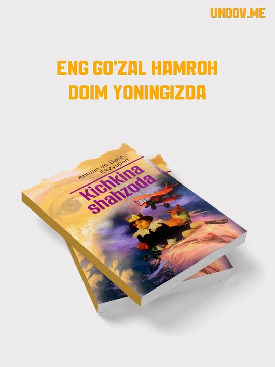 Алкимёгар, Чолиқуши, Телба, Кичкина Шаҳзода