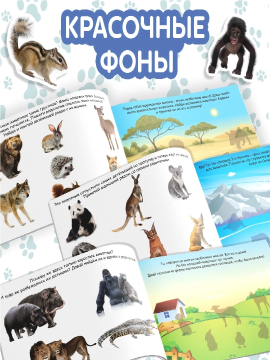 Наклейки для детей, 100 шт, 12 стр, с заданиями