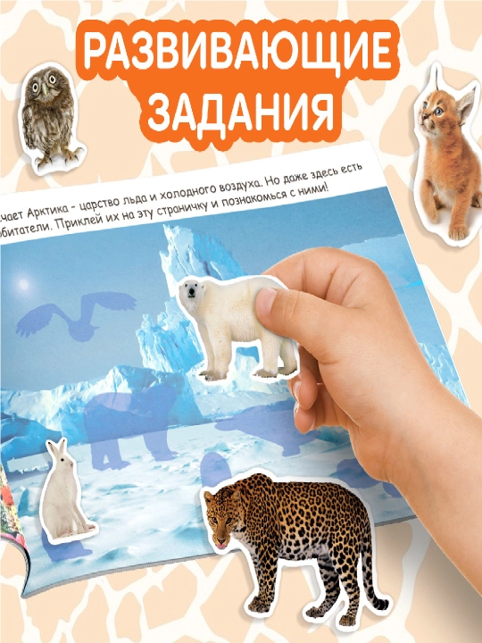 Наклейки для детей, 100 шт, 12 стр, с заданиями