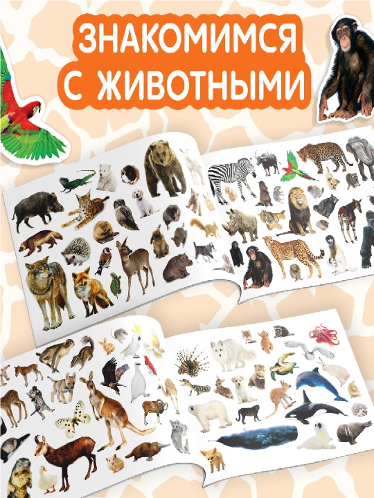 Наклейки для детей, 100 шт, 12 стр, с заданиями