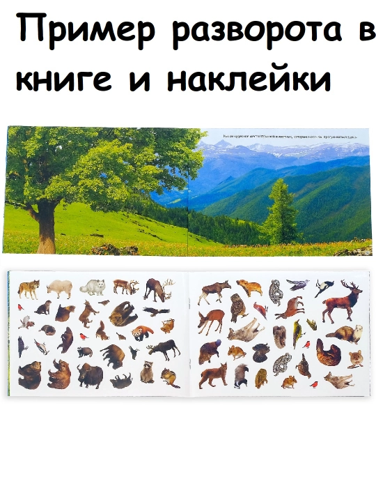 100 наклеек, 12 стр., наклейки с разворотом, наклейки для детей