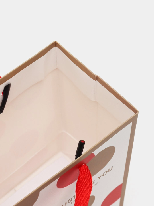 Sovg'a paketlari 18x23 sm. Qalin qog'oz har kuni uchun