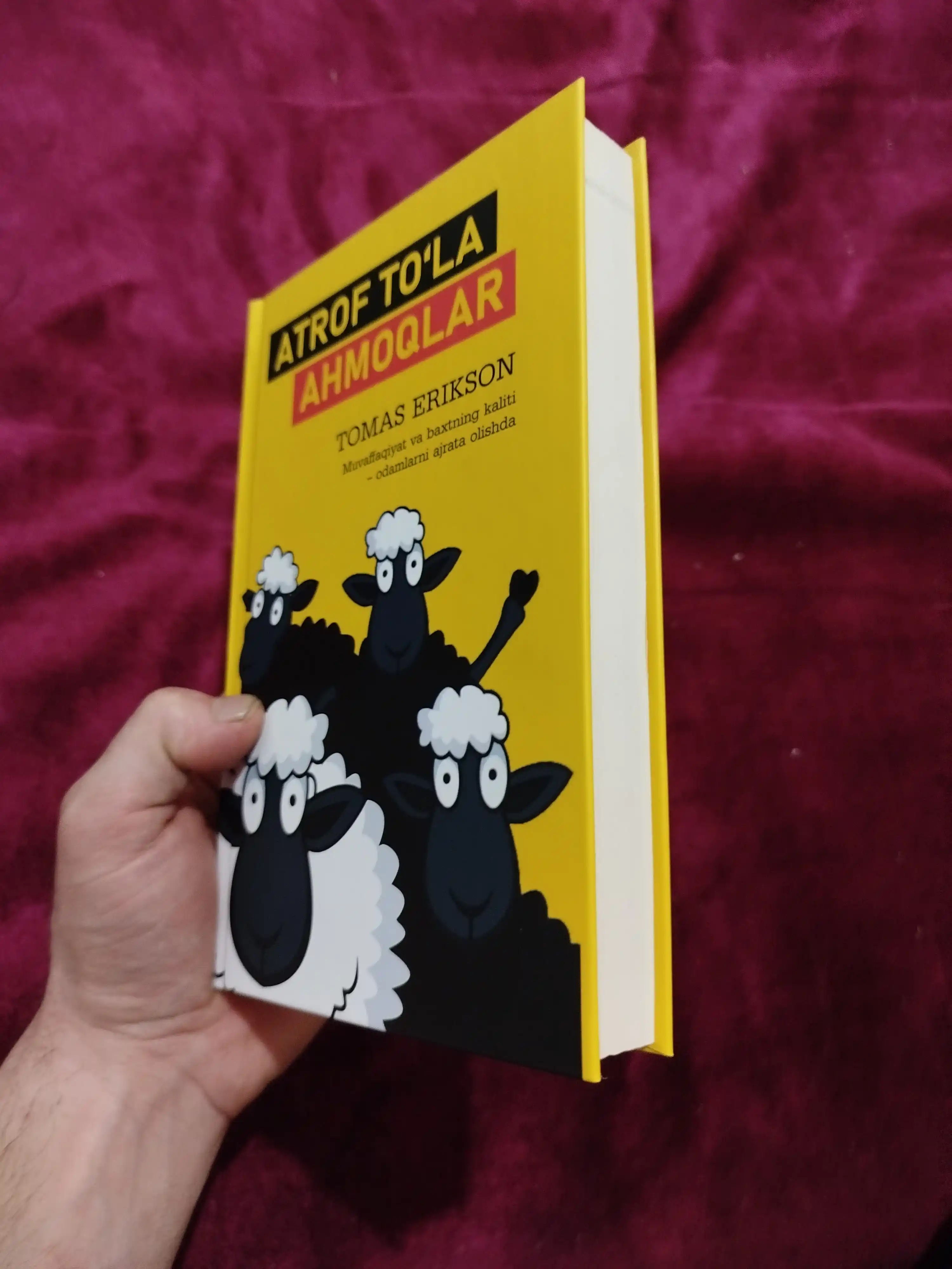 Atrof to'la ahmoqlar - Tomas Erikson