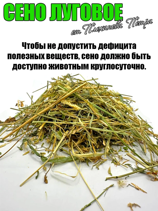Сено луговое для домашних питомцев от Петра Плеханова кролик морская свинка, шиншилла