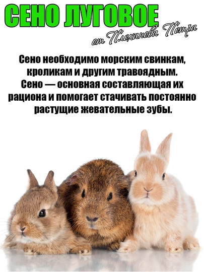 Сено луговое для домашних питомцев от Петра Плеханова кролик морская свинка, шиншилла