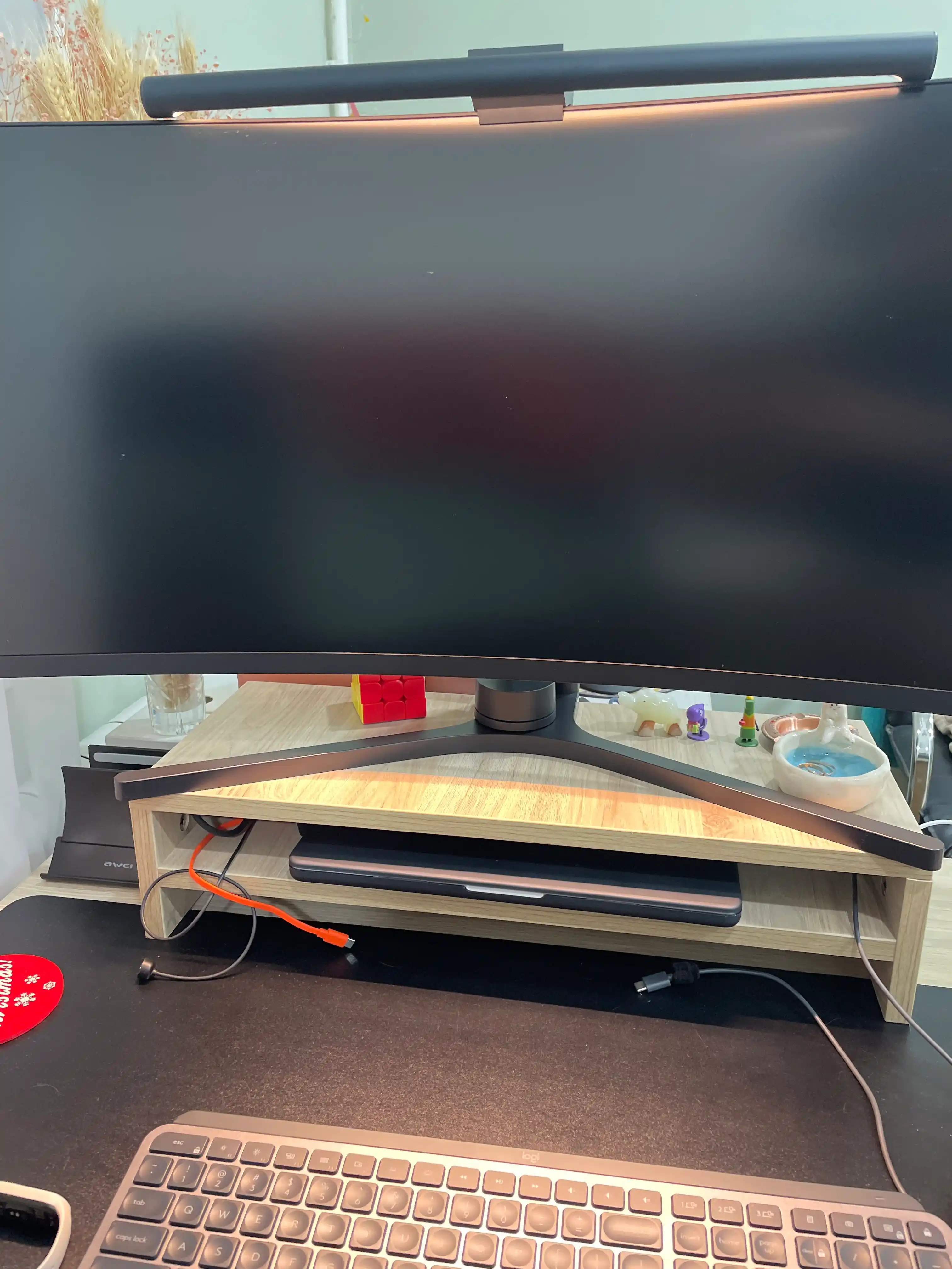 Monitor tagligi
