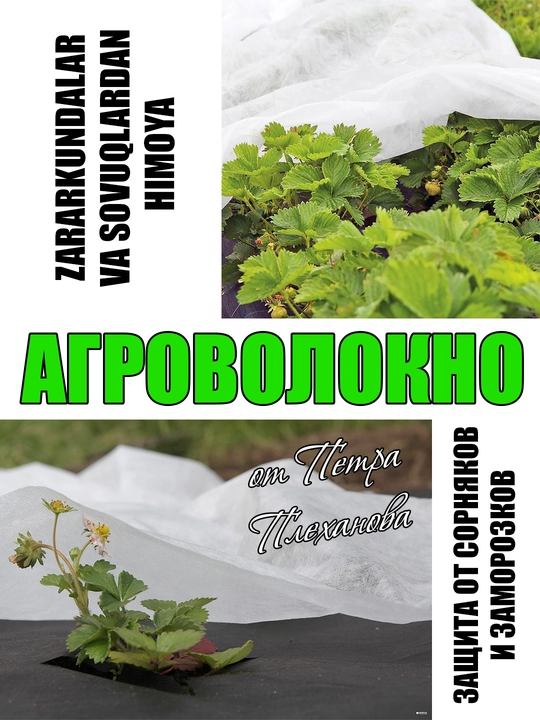 Агроволокно от Петра Плеханова, агроспан, укрывной, нетканный материал 60 гр/m2