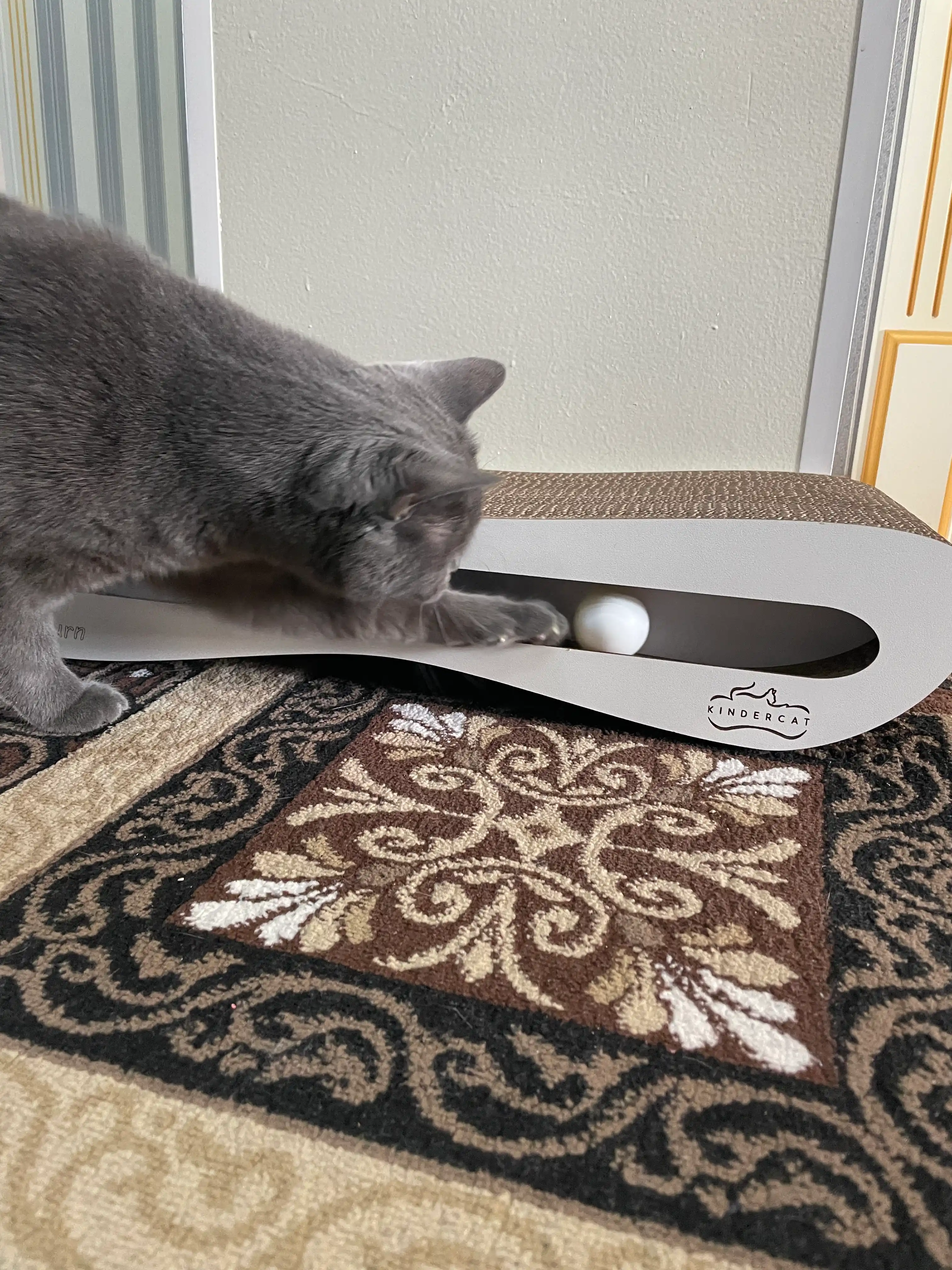 Tirnash ustuni KinderCat Saturn + koptok mushuklar uchun