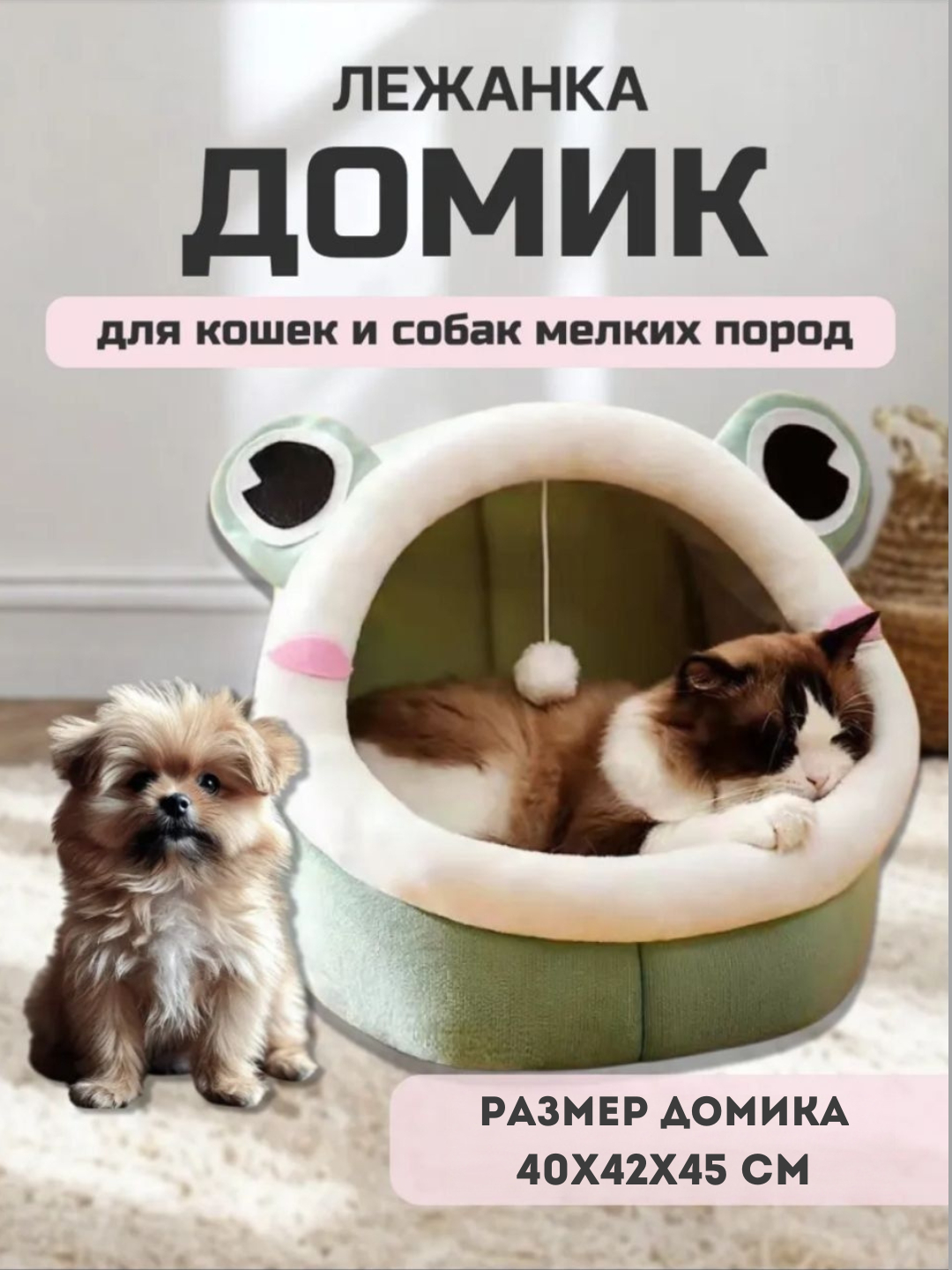 Komsomolsk-na-Amurlik qizlar ishtirokidagi porno tomosha qiling