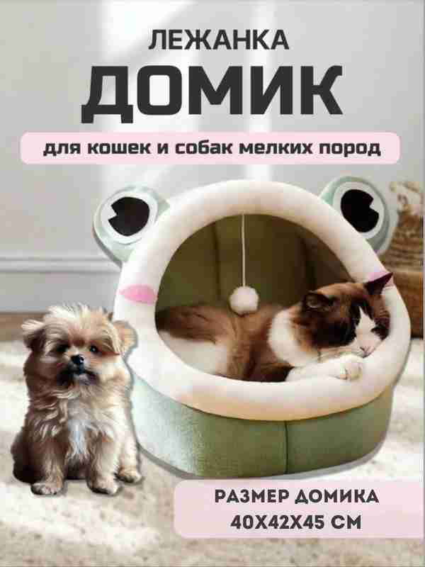 Katta va chuqur mushuk Katta va chuqur mushuk