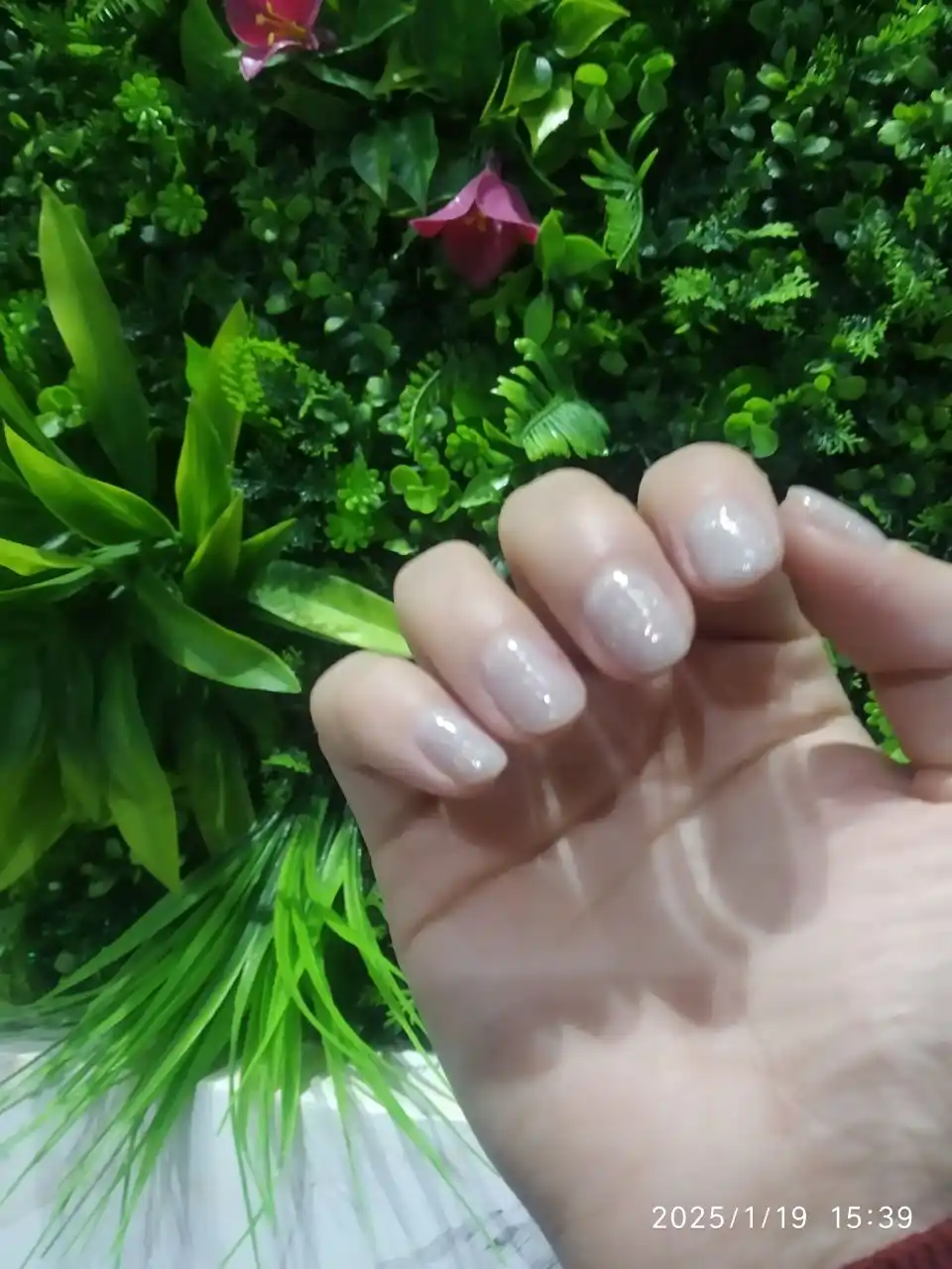 Rangli gel lak suyuq poligel Opal MOKKA, UV/LED chiroqda quriting, 8 ml