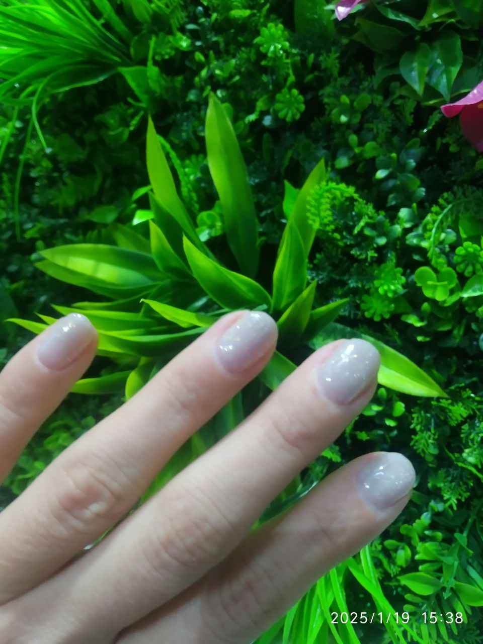 Rangli gel lak suyuq poligel Opal MOKKA, UV/LED chiroqda quriting, 8 ml
