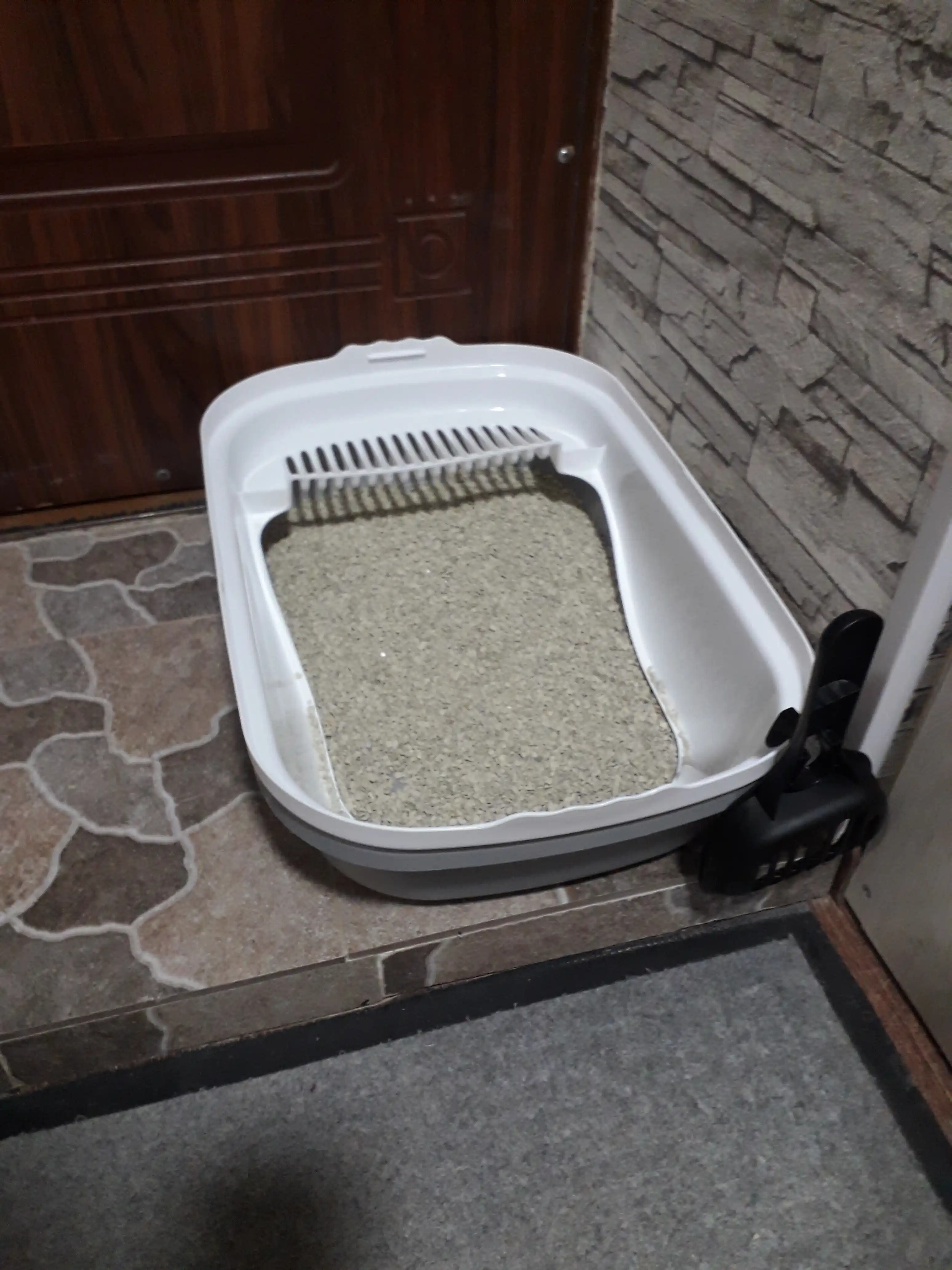 Mushuk va mushukchalar uchun plastik lotok У006-CN-112