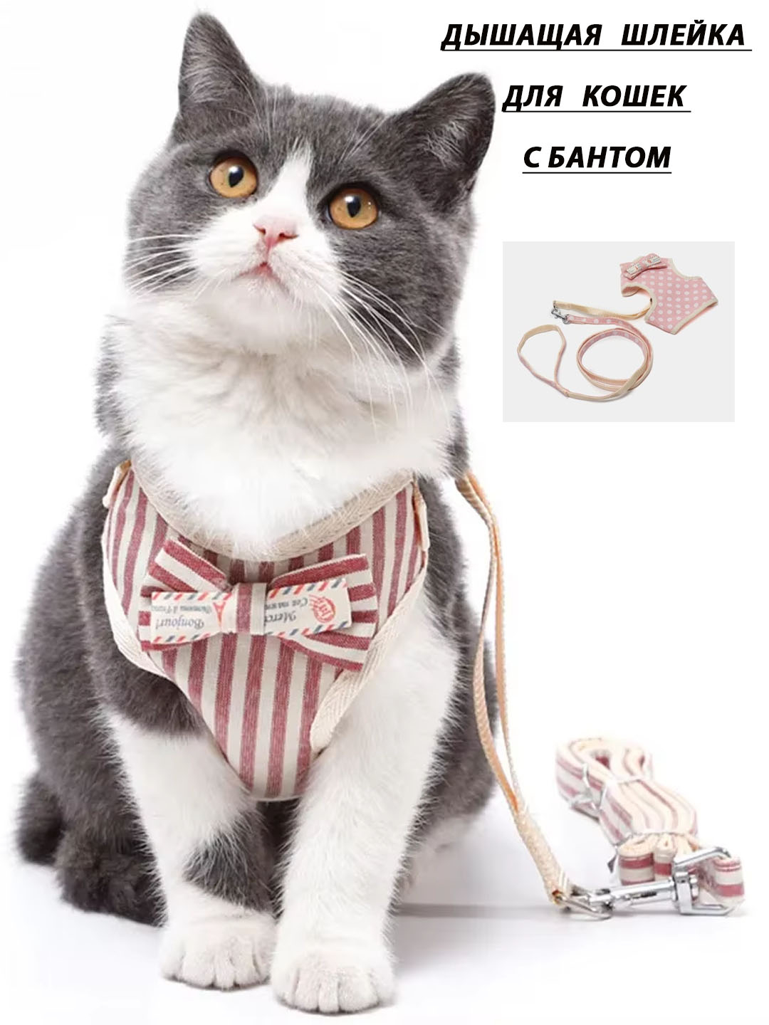 Rus jinsida külotlu çorap mast Talabaning jojani sikishini tomosha qiling