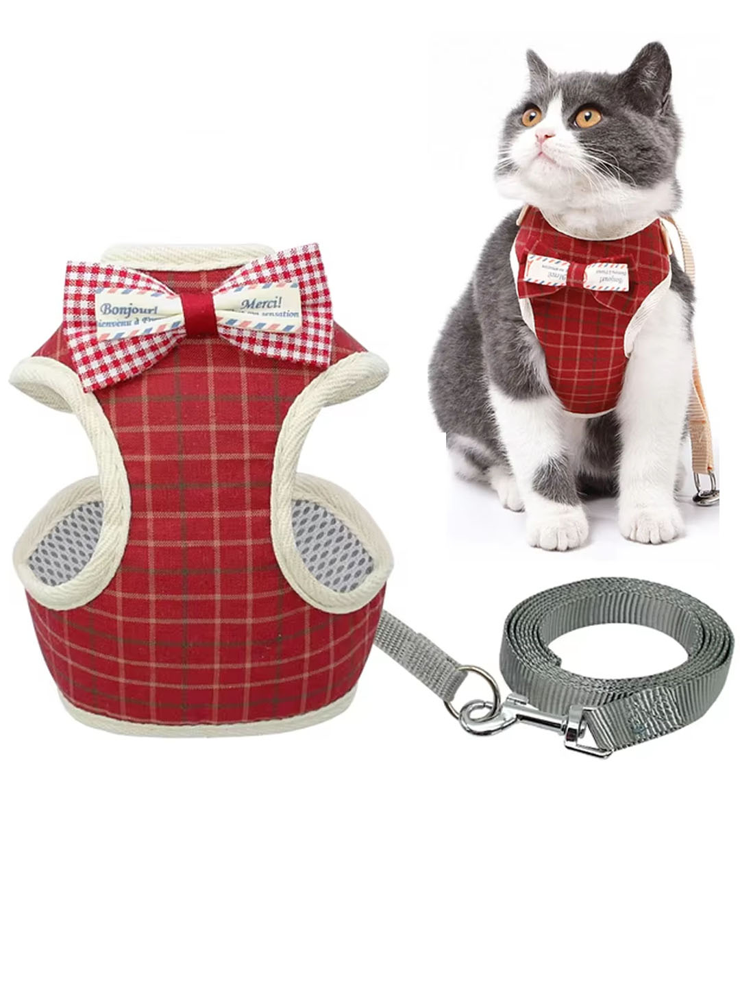 Dikni sorayotgan va sutni yutgan odamlarning fotosuratlari Anal jinsiy aloqa hd