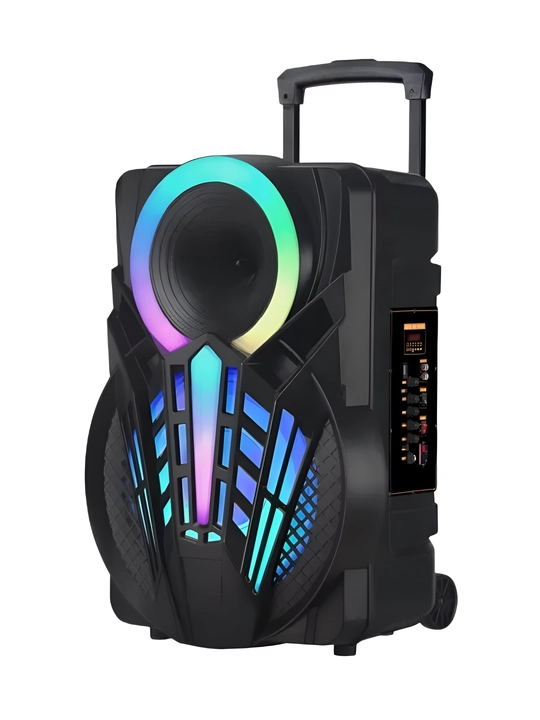 Audio kolonka NDR-P12 - 