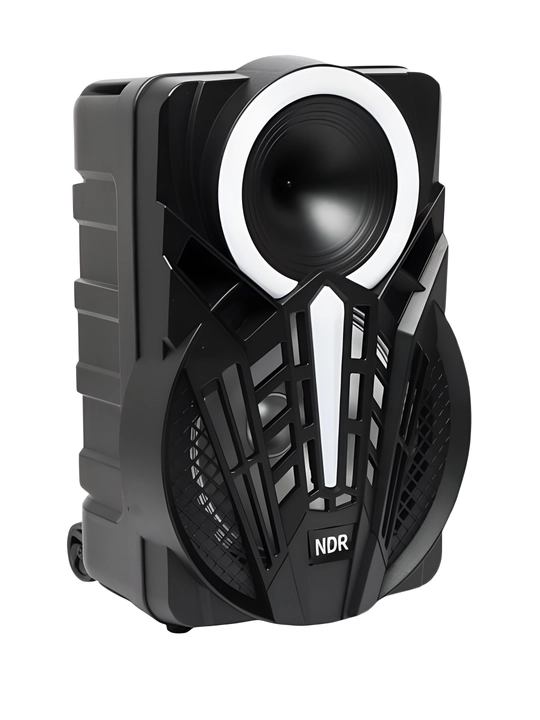 Аудио колонка NDR-P12