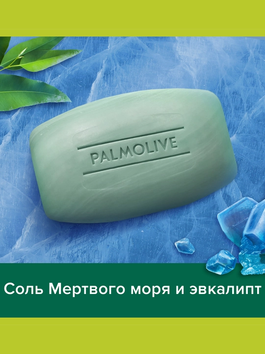 Tualet sovuni Palmolive MEN 90 gr, Dengiz minerallari bilan Shimoliy okean