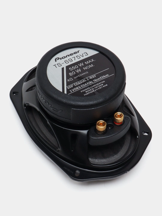 Pioneer Champion V3 Kalonka 550 Wat 2 шт очень мощный и не требует гигантского усилителя