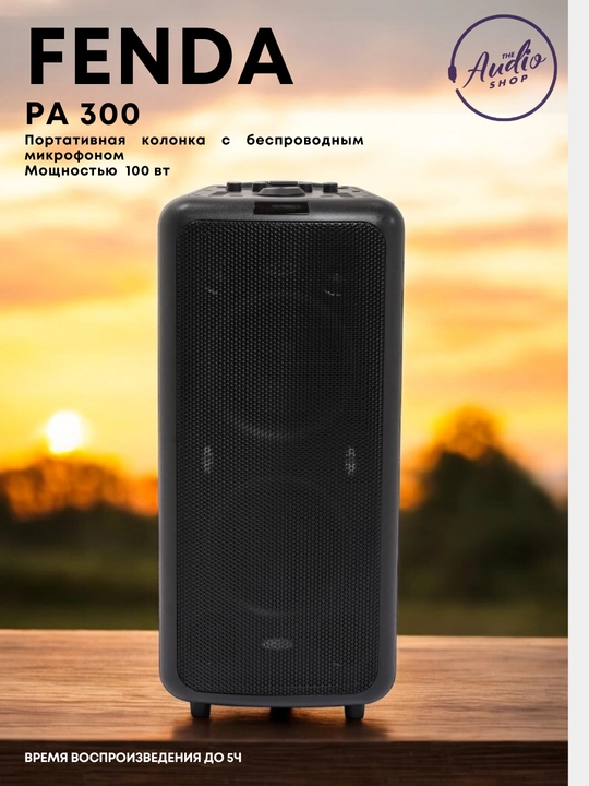 Portativ kolonka Fenda PA300 100W