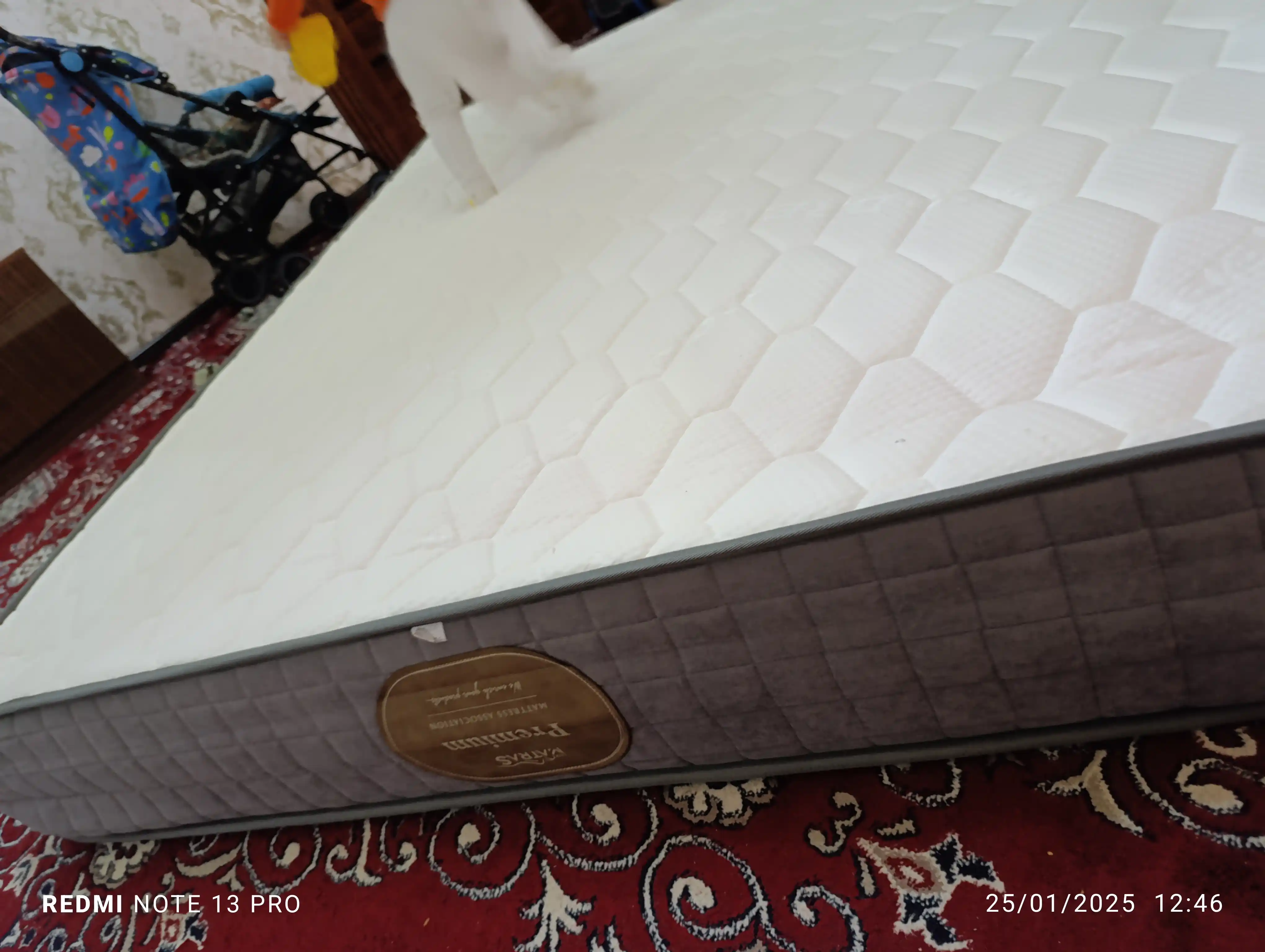 Матрас Premium анатомический, высота 24 см, независимые пружины, Luxmatras