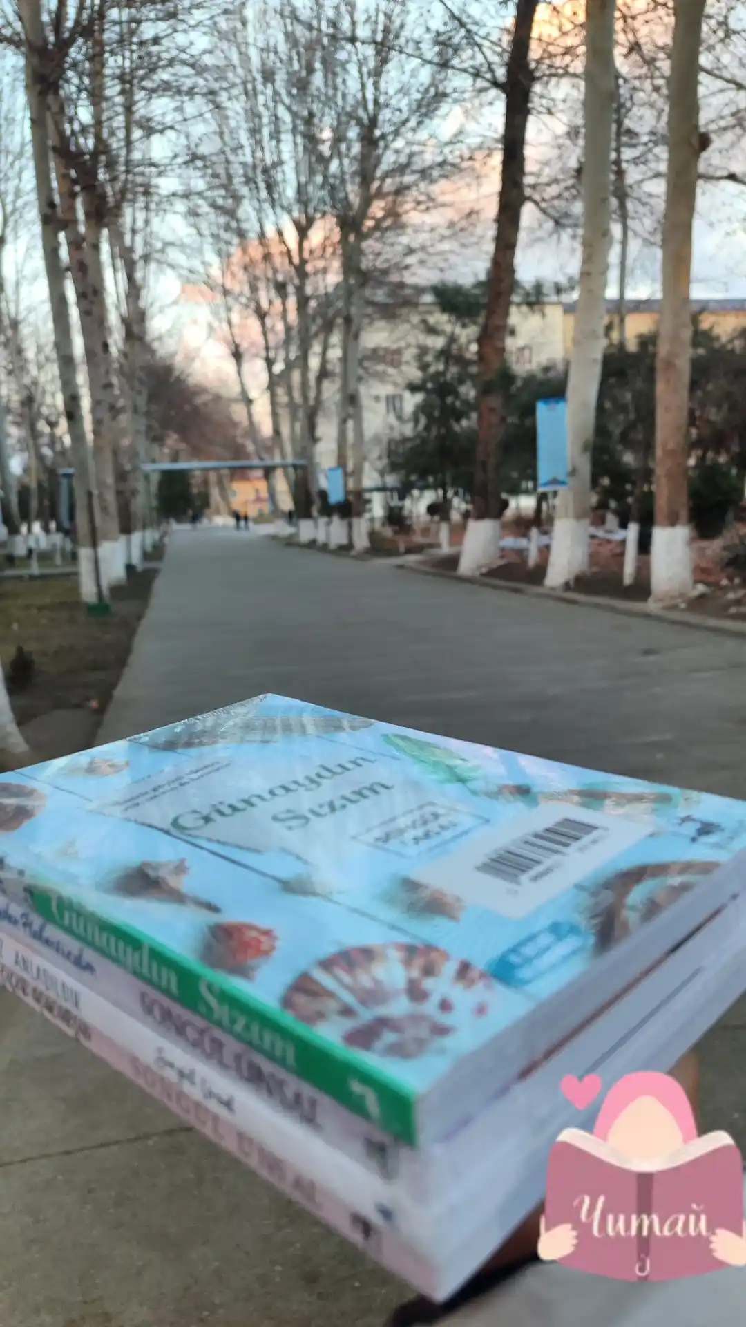 Songul Unsal kitoblar to'plami