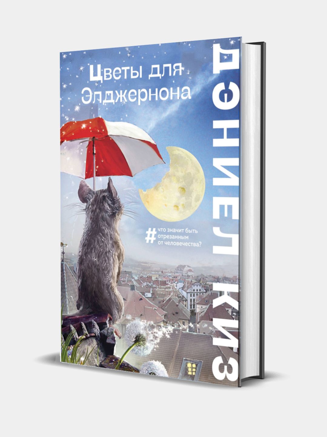 Sveti dlya Eldjernona, Deniyel Kiz - 