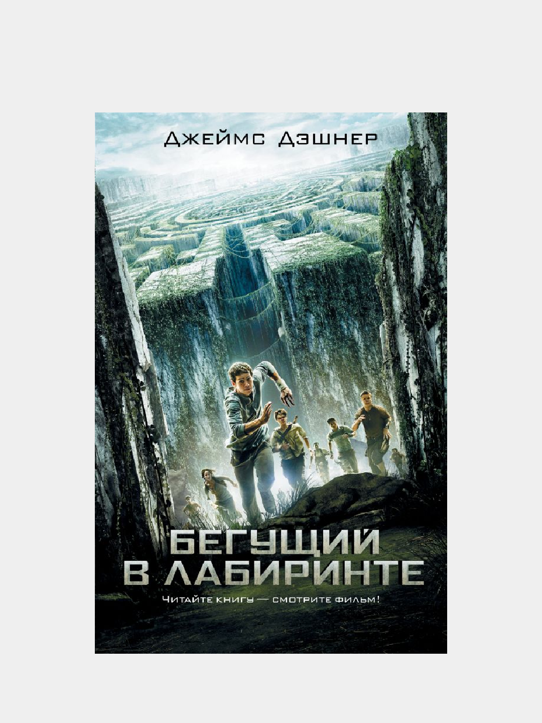 Бегущий в Лабиринте - 