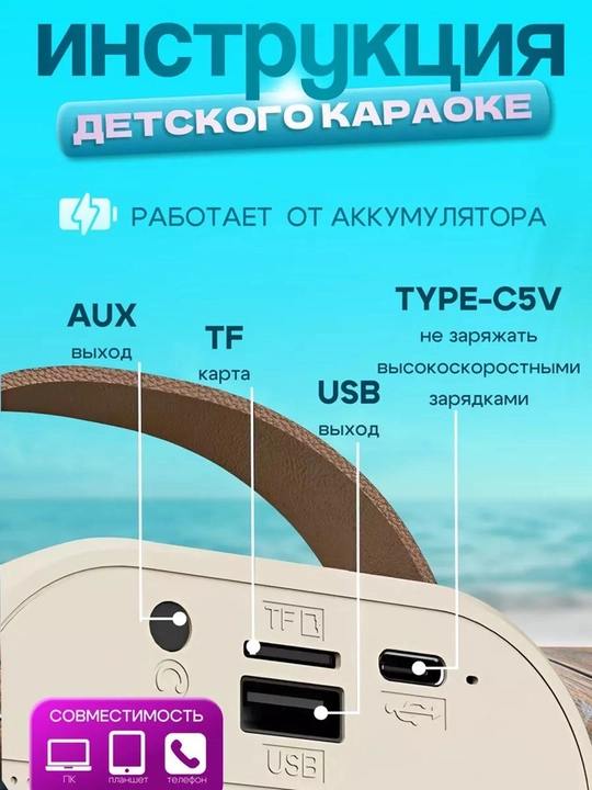 Караоке колонка для детей с 2 беспроводными микрофонами, портативная Bluetooth