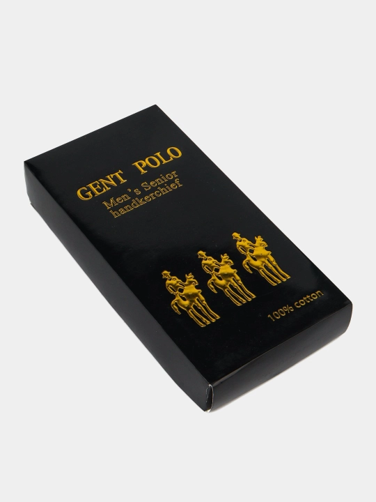 POLO, erkaklar dastro'mollar, to'plam, 10 dona