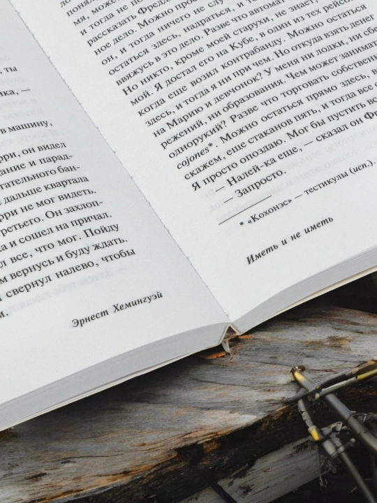 Иметь и не иметь. Эрнест Хемингуэй