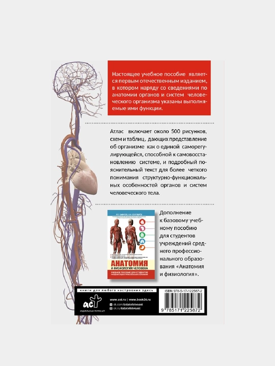 Атлас анатомии и физиологии человека. Учебное пособие для студентов