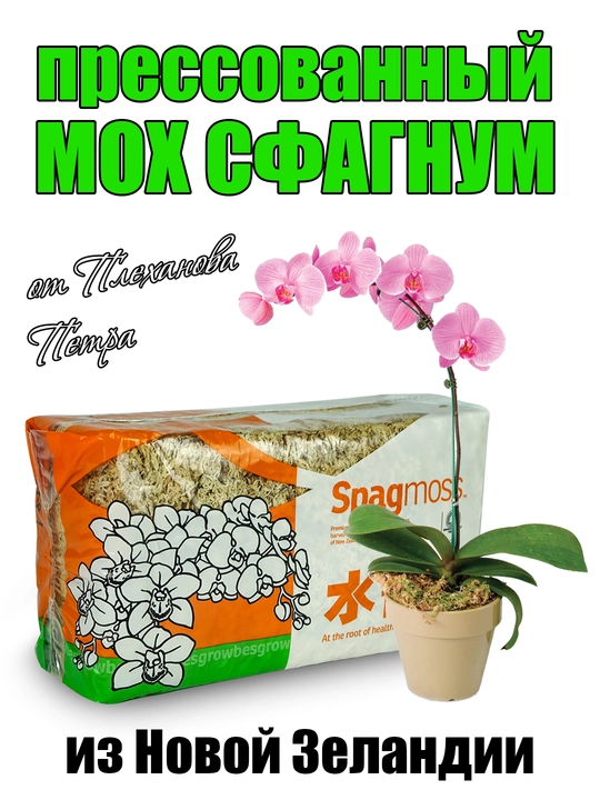 Прессованный мох сфагнум Spagmos от Плеханова для орхидей, тропических и других растений