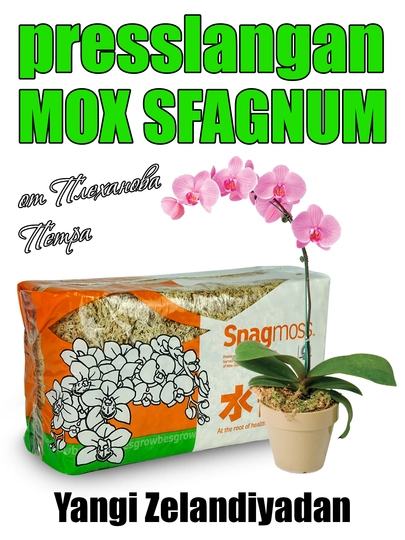 Plexanovdan orkide,tropik va boshqa o‘simliklar uchun presslangan sfagnum moxi Spagmos - 