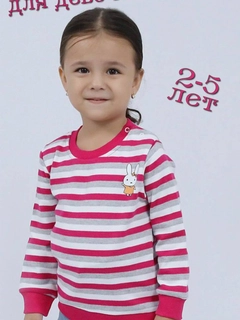 Toʻq pushti