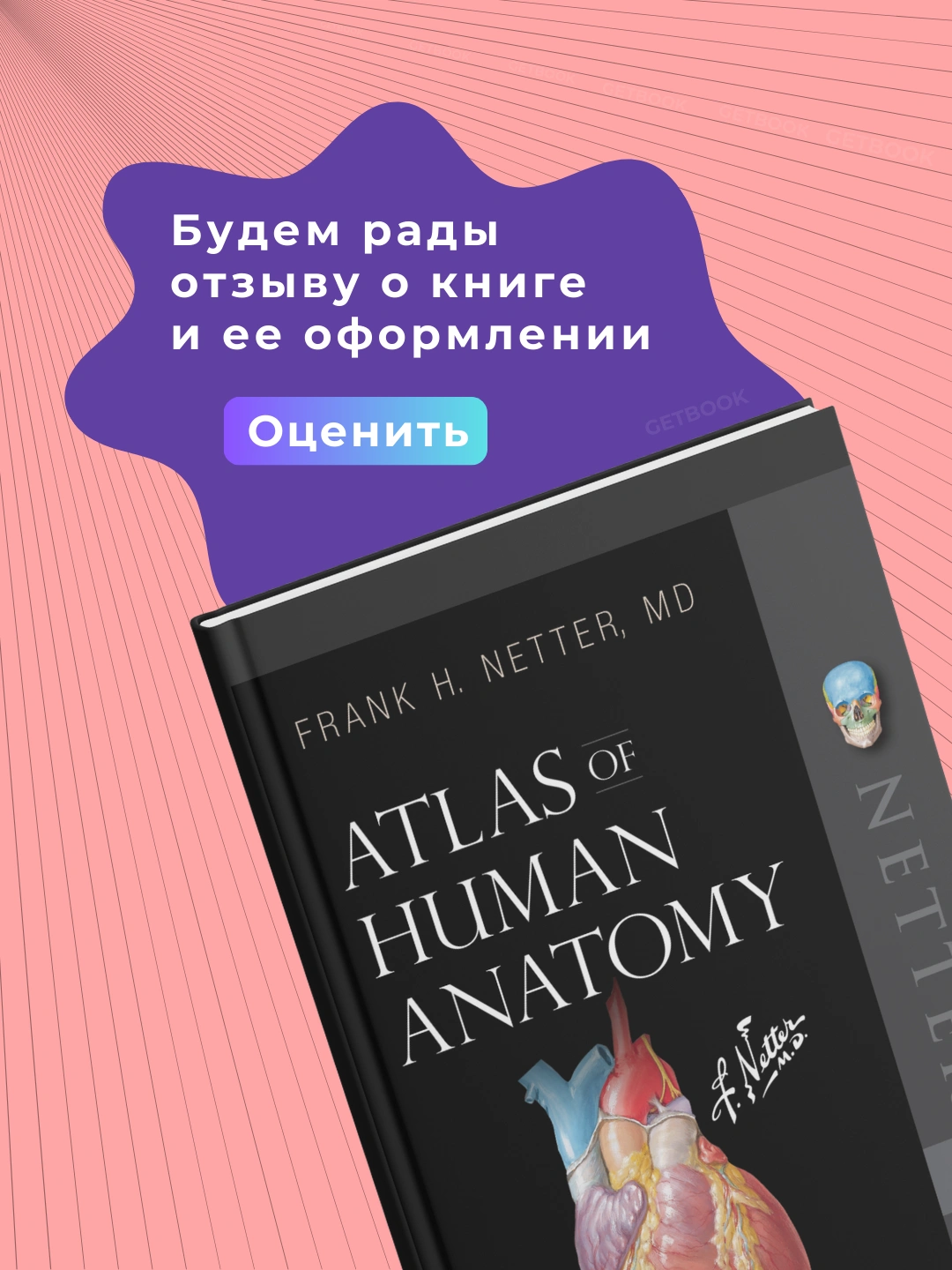 Netter Atlas of Human Anatomy A Systems Approach 8th Edition