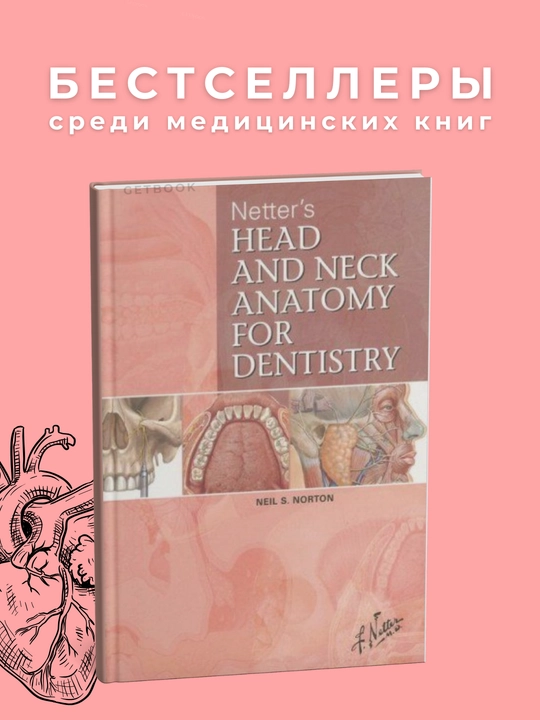 Netter's Head And Neck Anatomy For Dentistry, Tibbiyot - 