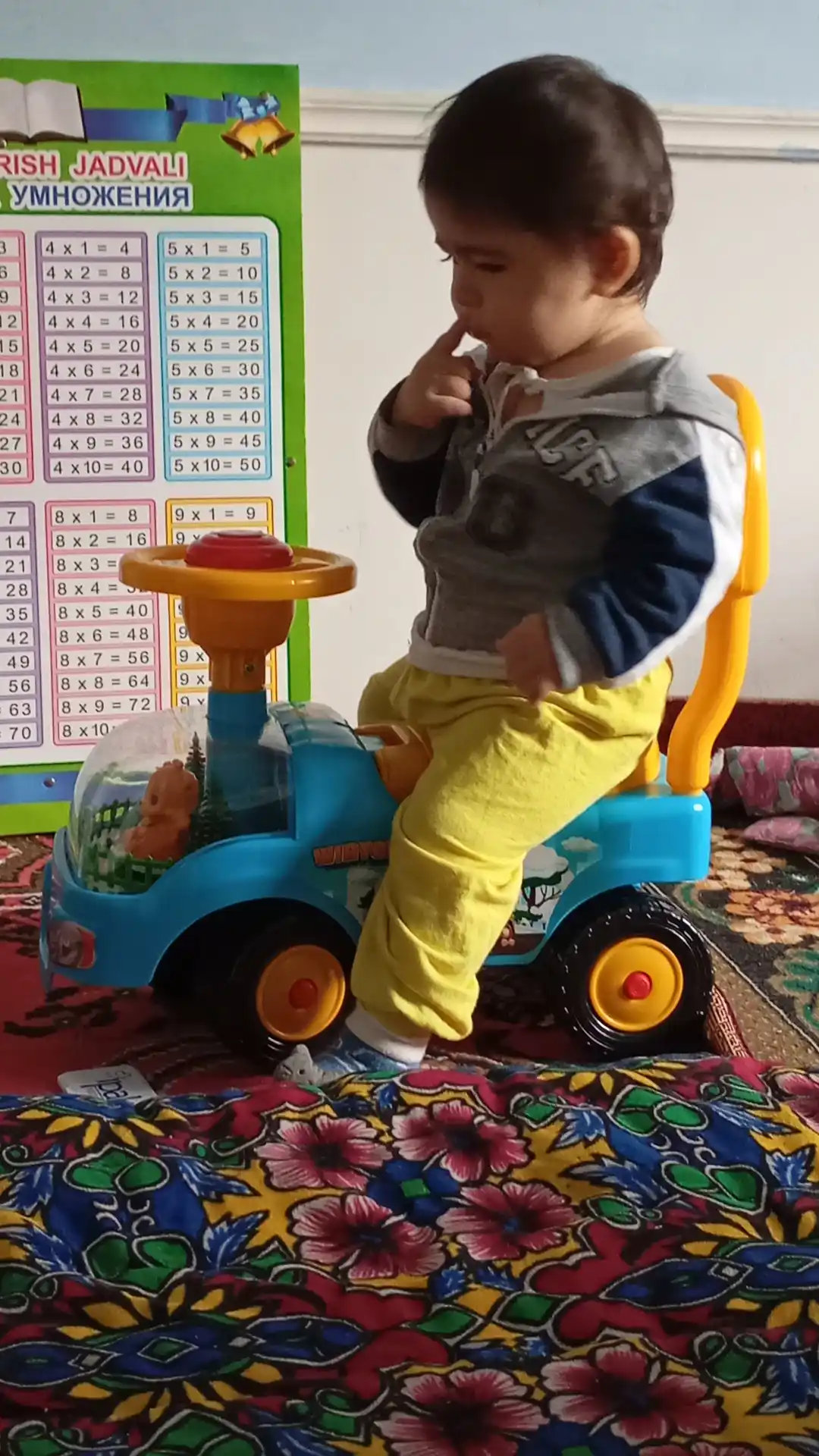 Avtomobil bolalar aravachasi Tolokar, shaffof kapot