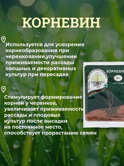 Корневин стимулятор корнеобразования и удобрение для растений