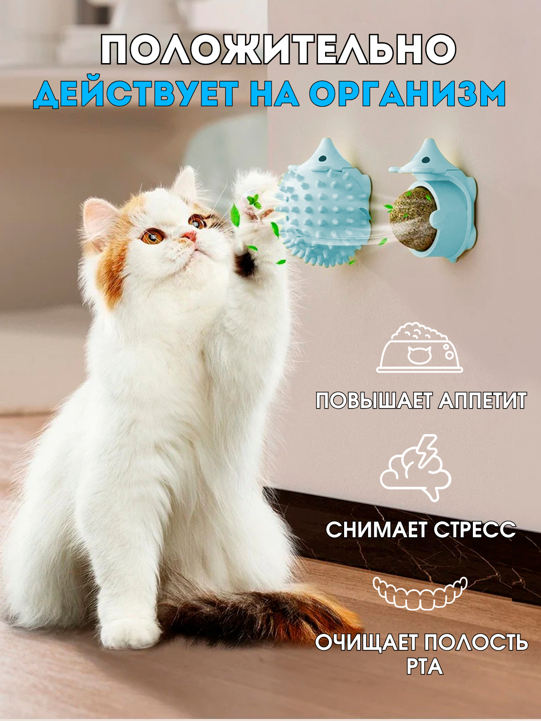 Gozal yalangoch qizlar lesbian video Qrim Simferopol bekasi sp bdsm sado maso