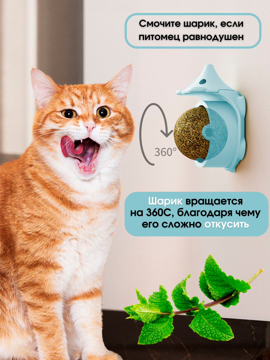 Ruslar uchun video chat