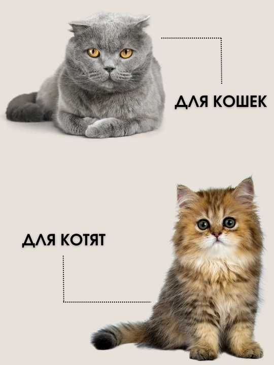Игрушка для кошек с лакомством кошачьей мятой, шарик, лизун