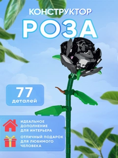 Qora